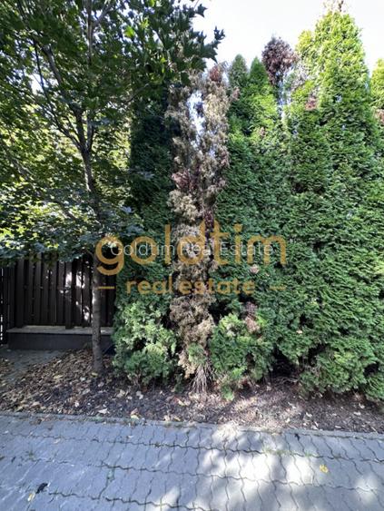 VILA CU PISCINA/CURTE/COMPLEX SECURIZAT/OXFORD GARDENS/PIPERA - 17