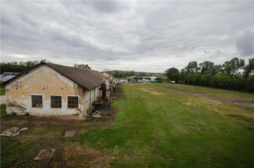 Hala industriala de 2700mp cu 3,1 ha teren intravilan in Miercurea Sibiului - 38