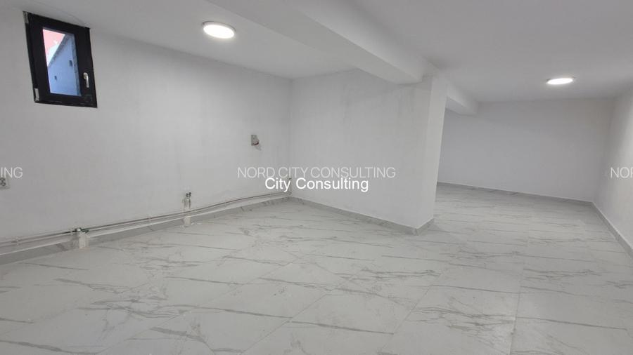 Inchiriere vila reprezentativa Cismigiu Sala Palatului - 11