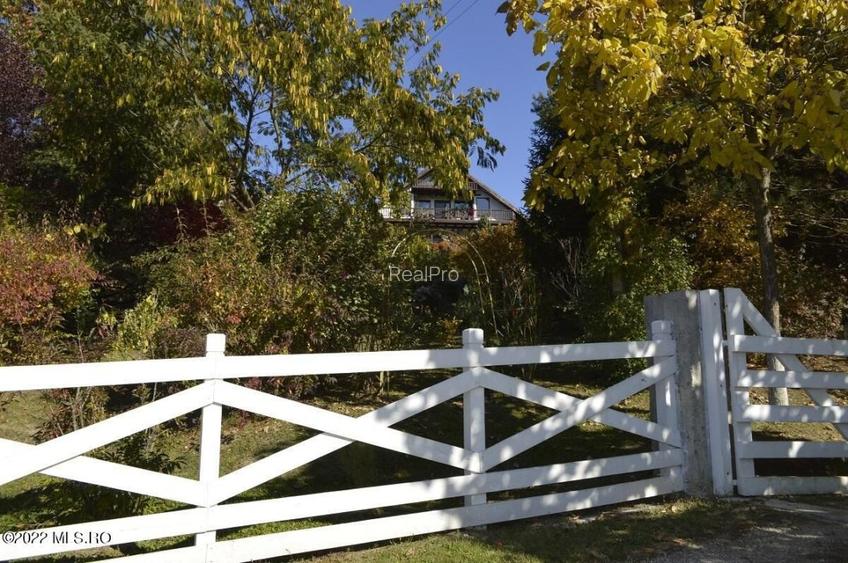 Topoloveni - Conacul Ion Mihalache, Domeniu pe 5 Hectare! - 51