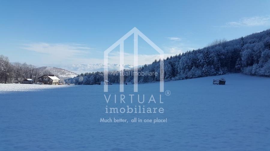 Teren intravilan de vanzare in Tocile, 3862 mp, priveliste spre padure - 14