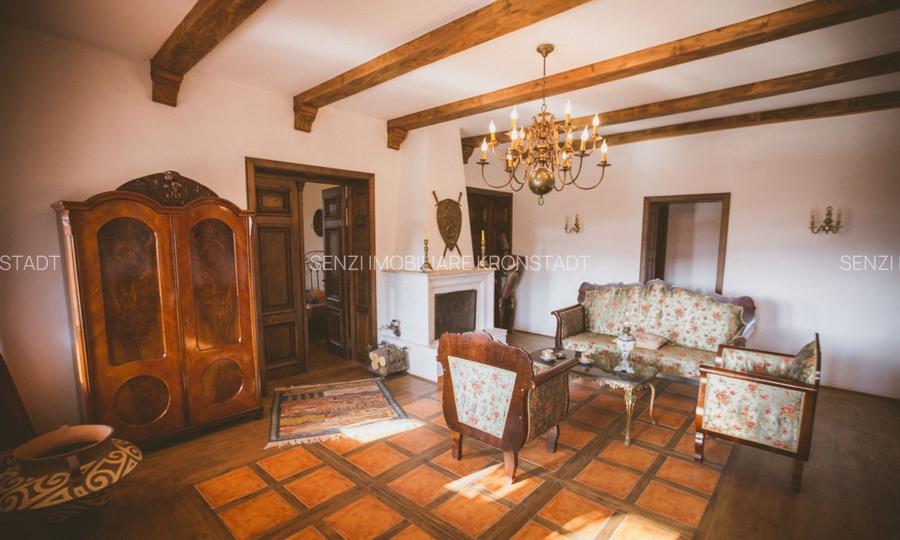 Podgorie de vita-de-vie nobila cu conac boieresc - 5