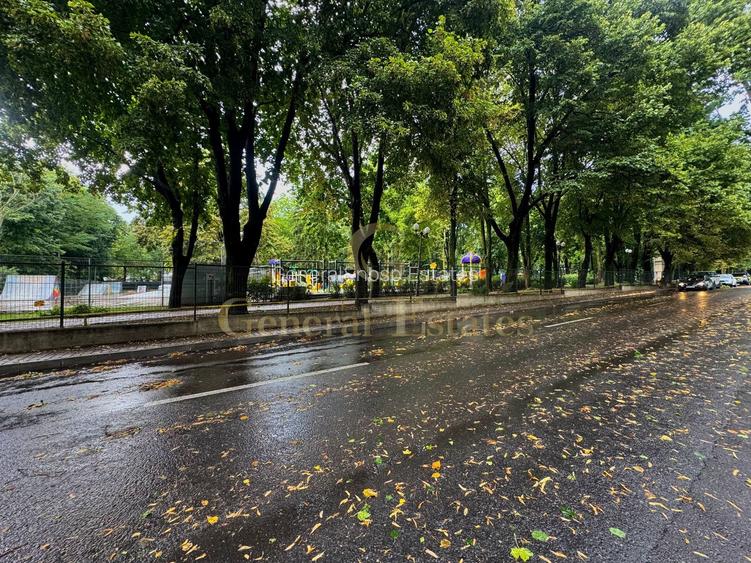 Vânzare Casă cu aplasare Strategică - Copou - Parcul Expoziției - 17