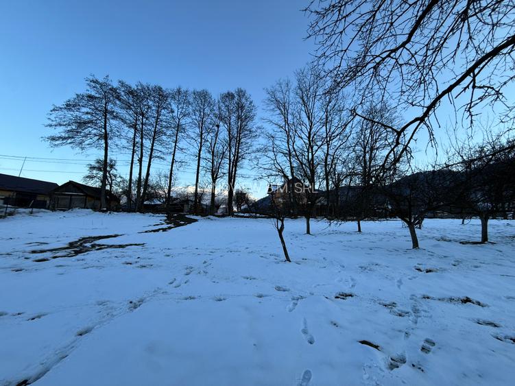 Teren intravilan 763 mp in zona Bran-Tohanita,judetul Brasov - 11