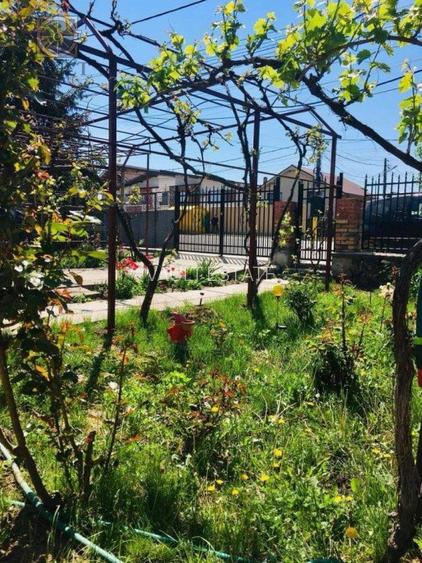 Casa + teren 871 mp - Valu lui Traian - Constanta - 5