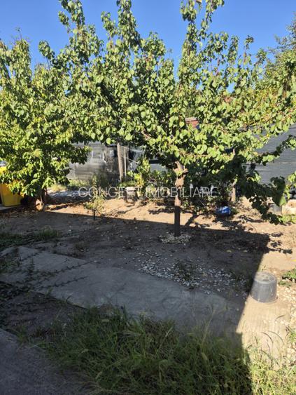 Casa individuala parter, Domnesti, zona Craitei-Foisorului. Investitie buna. - 6