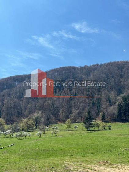 Terenuri Bran - Predelut  Priveliște către Bucegi și Postăvaru - 14