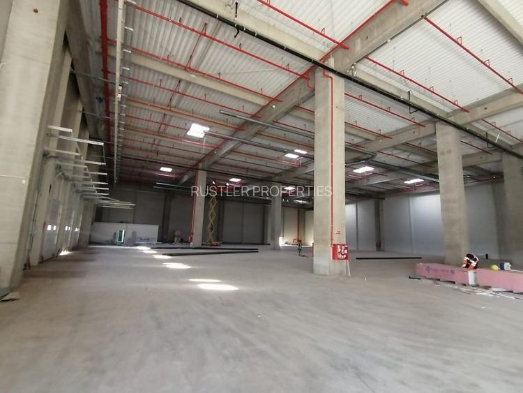 Inchiriere spații industriale - InCity Bacau - 4