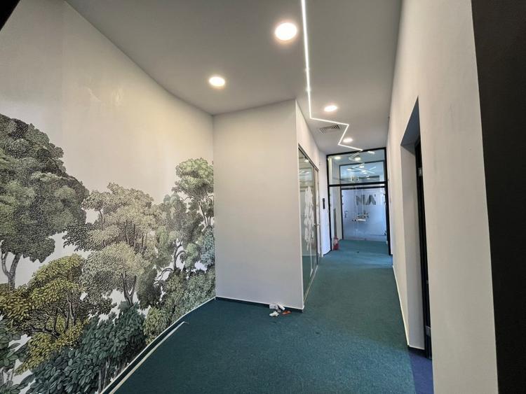 Spatiu de birou pentru inchiriat in cladirea Vasile Lascar - Eminescu