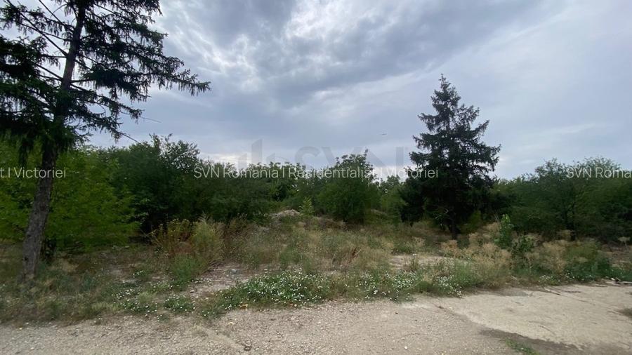 REL4001019 Teren 10 ha langa Kaufland si Crevedia Retail Park - 4