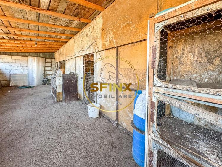 De vanzare ferma Calarasi in stare de conservare - sere - livada  - 21