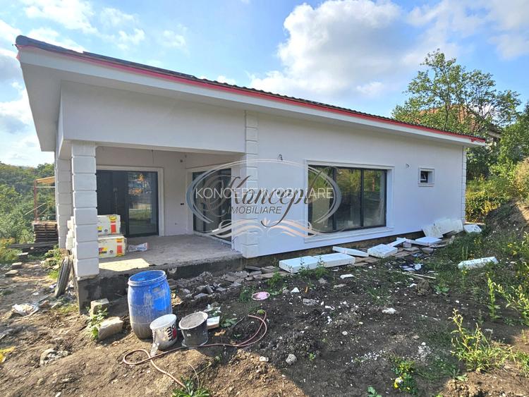 Casa individuala in apropiere de Padure - 4