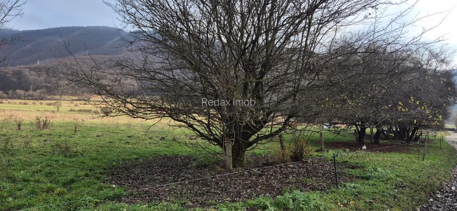 Teren intravilan Cristian zona Avicola - 3