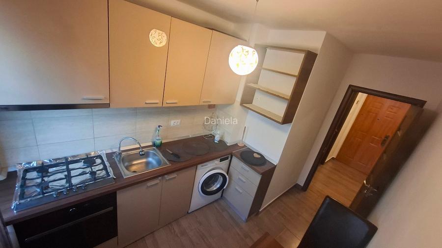 Ap 2 cam Teiul Doamnei/Ion Berindei - 12