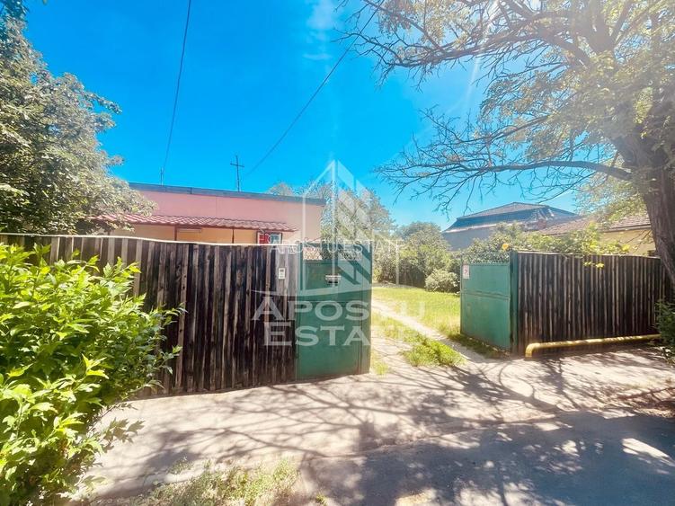 Spatiu birouri - zona Alfa, Penny - 21
