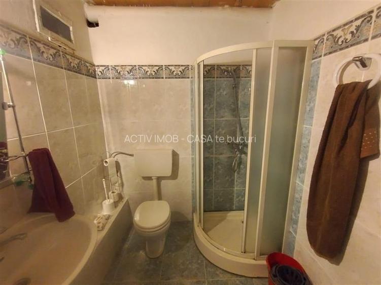 Petrosnita, Casa, 4 incaperi la 10 min. de Caransebes - 12