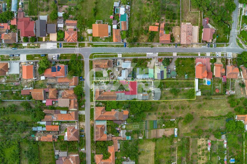 Casă spațioasă cu livadă în Buziaș - 19