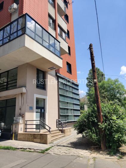 Spatiu de retail cu multiple functiuni in zona Titulescu - Banu Manta - 2