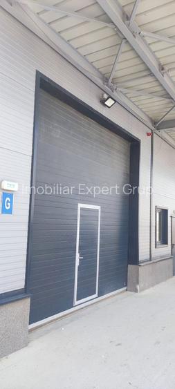 Hale noi 475 mp  Afumati -Doraly - 6