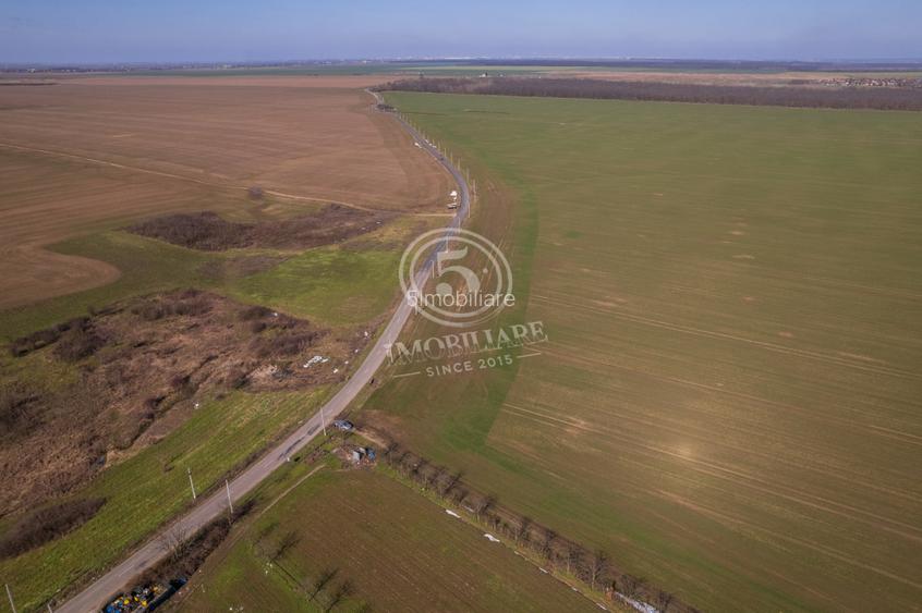 Oportunitate Investițională: Teren 8 Ha – Nuci, Călărași - 11