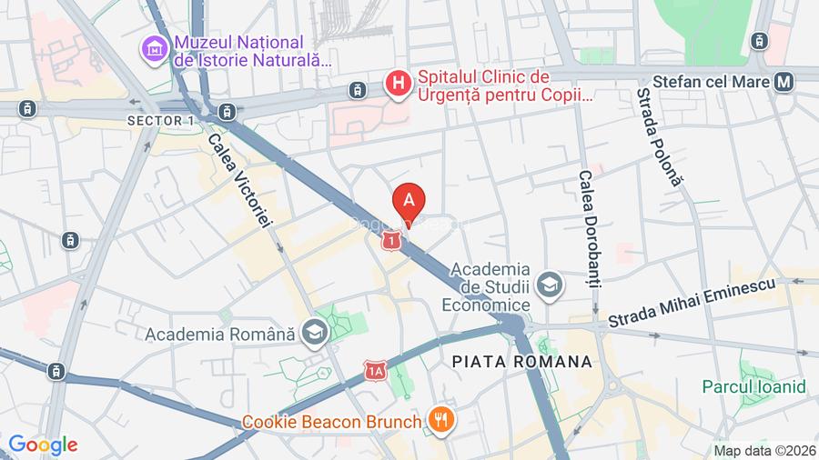 Apartament de inchiriat stradal Lascăr Catargiu singur pe nivel et 2 din S+P+2+M - 14