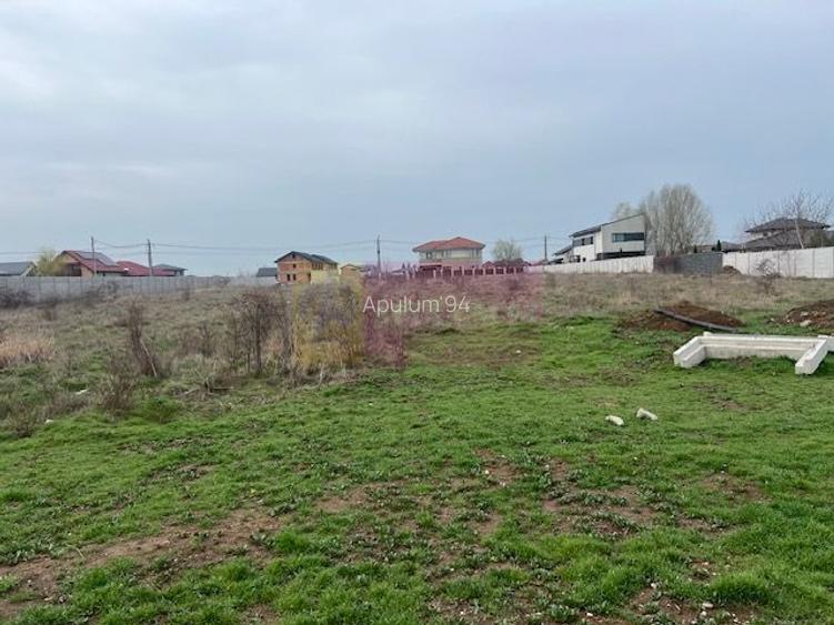 Teren Domnesti- Drumul Targului. - 4