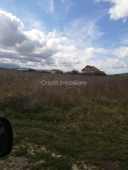 Teren de vanzare Harman - 3