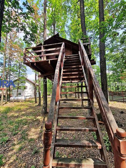 Casă de vacanță în pădure, 10 km de Pitești - Babana - 22
