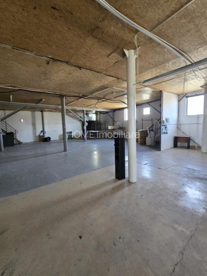 Hala 1000mp zona Bradului - 2