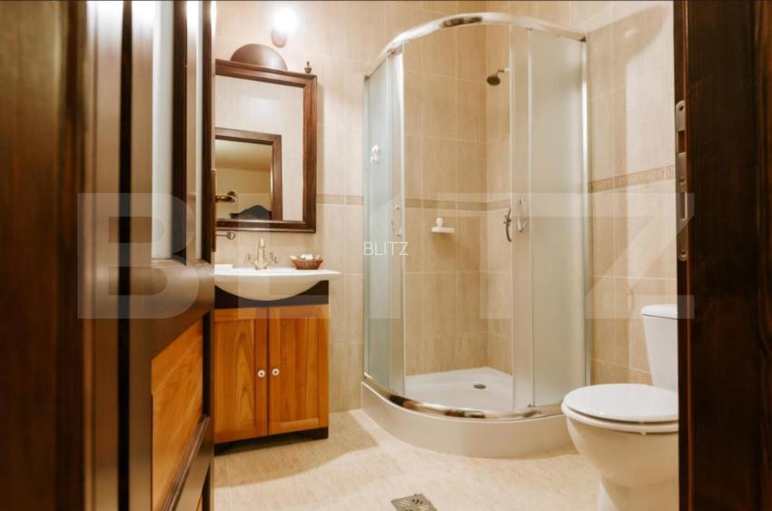 Conac de vanzare 7 camere cu bai proprii, crama, ciubar si potential  - 16