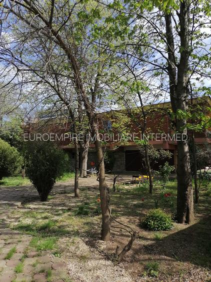 Vila unicat de inchiriat in Mamaia - 4