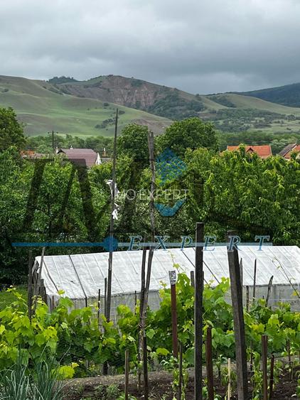 Casa renovata de vânzare in Lancram - 10