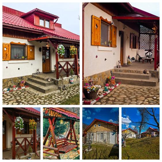 Se vinde: două case si o grădină de vis in Valea de Brazi - 7