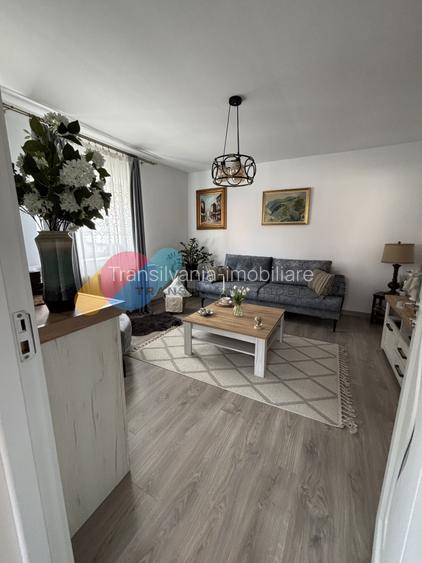 Casa individuala, teren 330 Mp, mobilat utilata -zona centrala Chinteni - 2