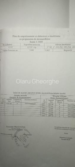 tereintravilan agricol Magurele - 2