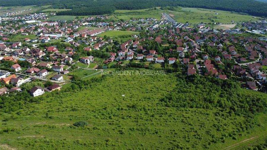 FILM! Teren pretios: 17.200 mp, recomandat investitional/dezvoltare,Livezeni,Mur - 11