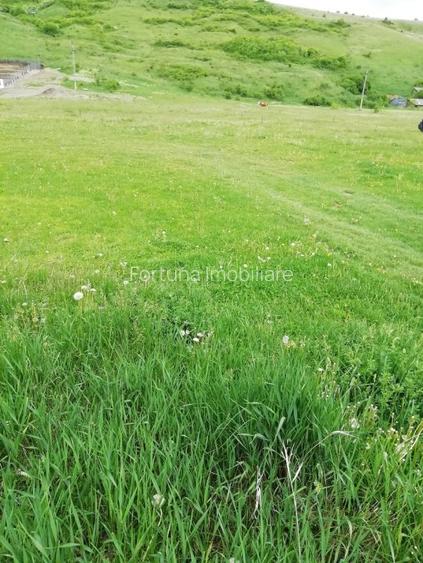 Teren intravilan Piatra Neamt - 4