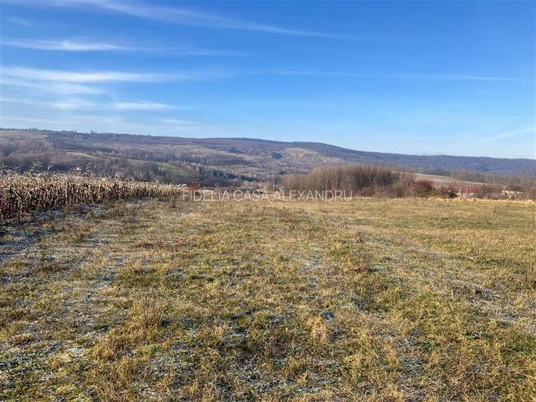 Teren vanzare Bordea/Padureni - 2