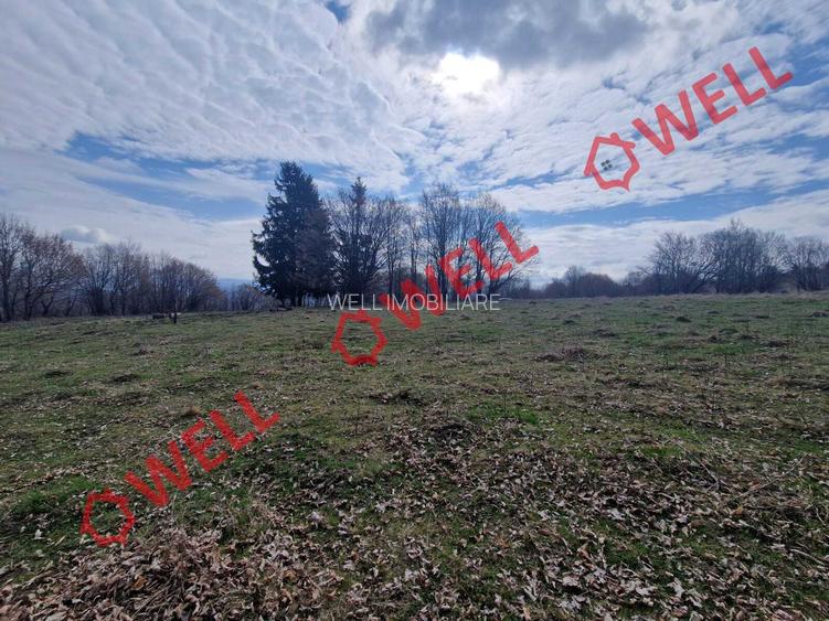 De vânzare teren extravilan în localitatea Brădet! - 8