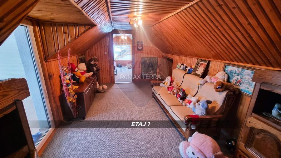 Casă / Vilă cu 10 camere de vânzare în SIGHETUL MARMATIEI zona Central - 35