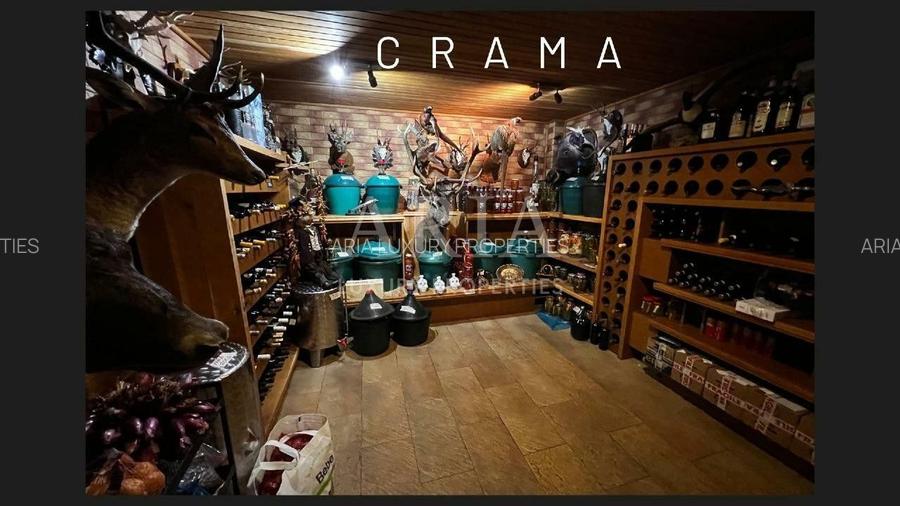 Vila grandioasa, Gradina Japoneza, SPA, Crama, Teren Tenis, Foisor, Iaz Pesti - 8