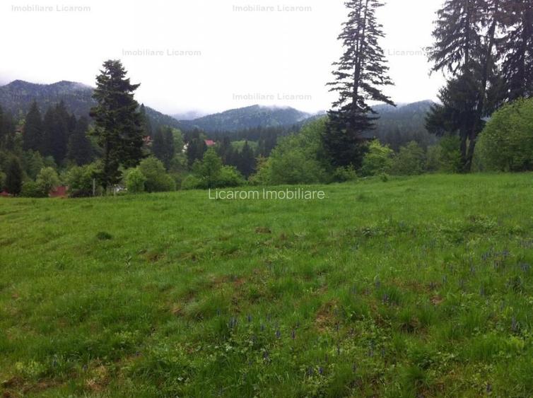 Teren intravilan Cotul Donului,pretabil Hotel/pensiune. - 6