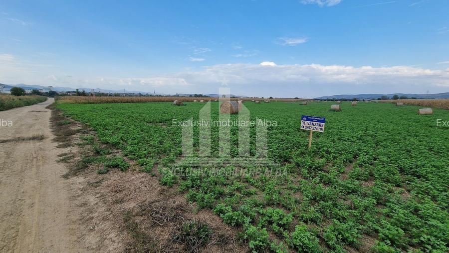 Teren intravilan | 17300 mp | 20 de parcele | Soseaua de Centura - 3