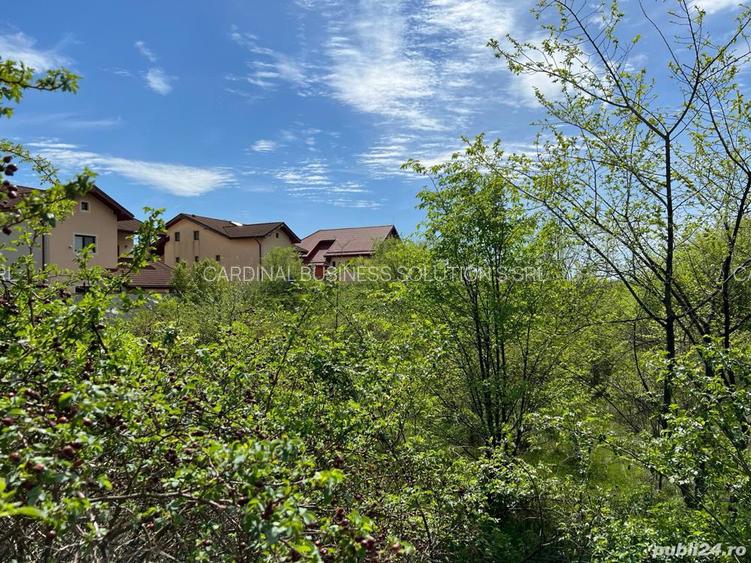 AUTORIZATIE DE CONSTRUIRE -Pantelimon -Lebada- str. Sinaia, teren 24.750 mp - 6