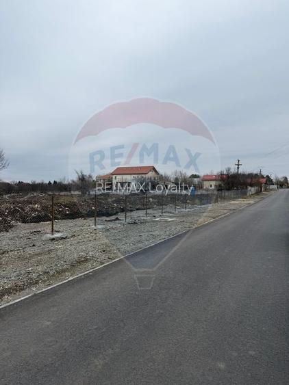 Teren 500mp Vladiceasca / None - 5