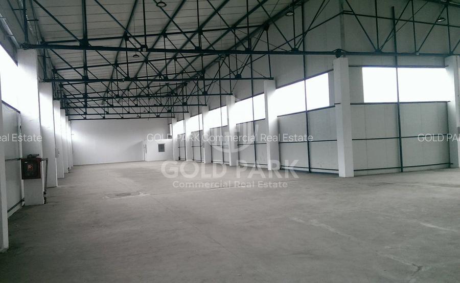 Depozit/Hala - In Park  Industrial - Someseni - 2