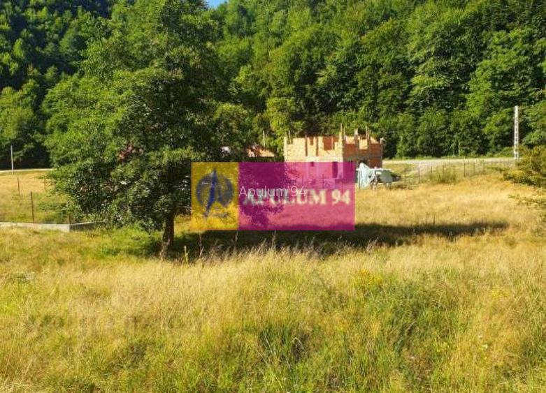 Teren Județul Vâlcea - Brezoi, Valea lui Stan - 36