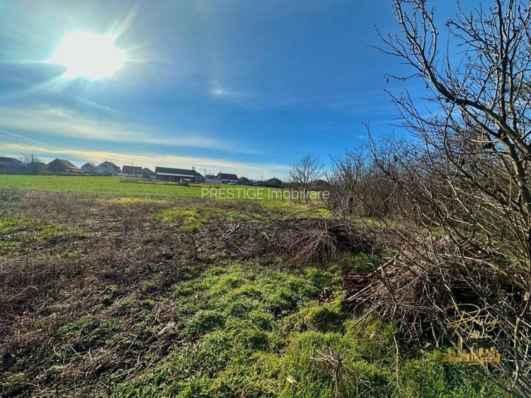 Teren de 1400 mp la strada principala in Salard - Bihor - 3