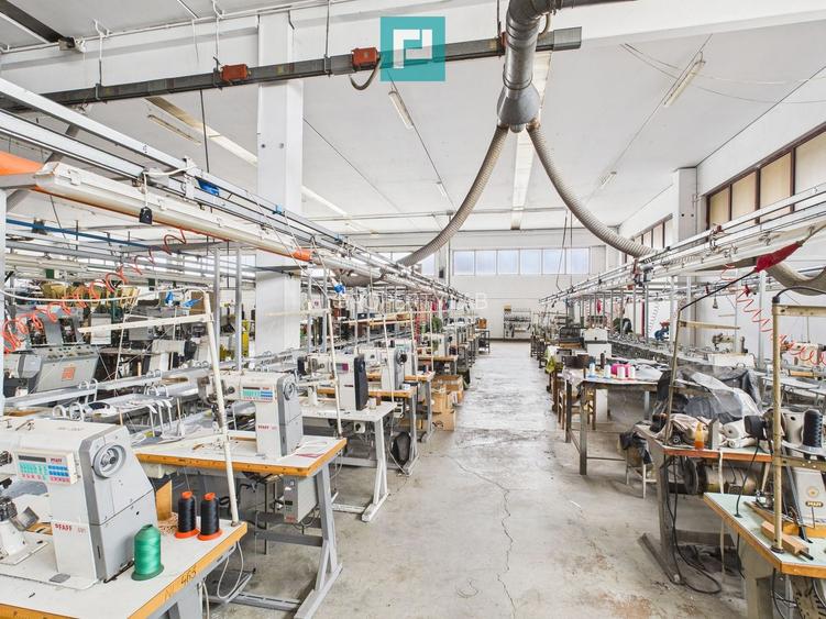 Hală de producție, cu birouri și teren, în Sebiș - 4