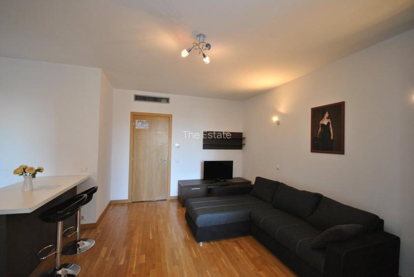 Garsoniera de inchiriat in Asmita Gardens - Tineretului - 3